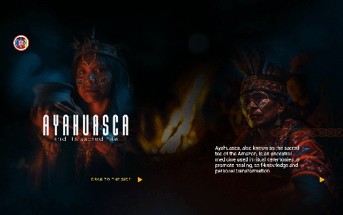 Ayahuasca Retreat | Self-Discovery Experiences in Bahia Brazil