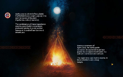 Ayahuasca Retreat | Self-Discovery Experiences in Bahia Brazil