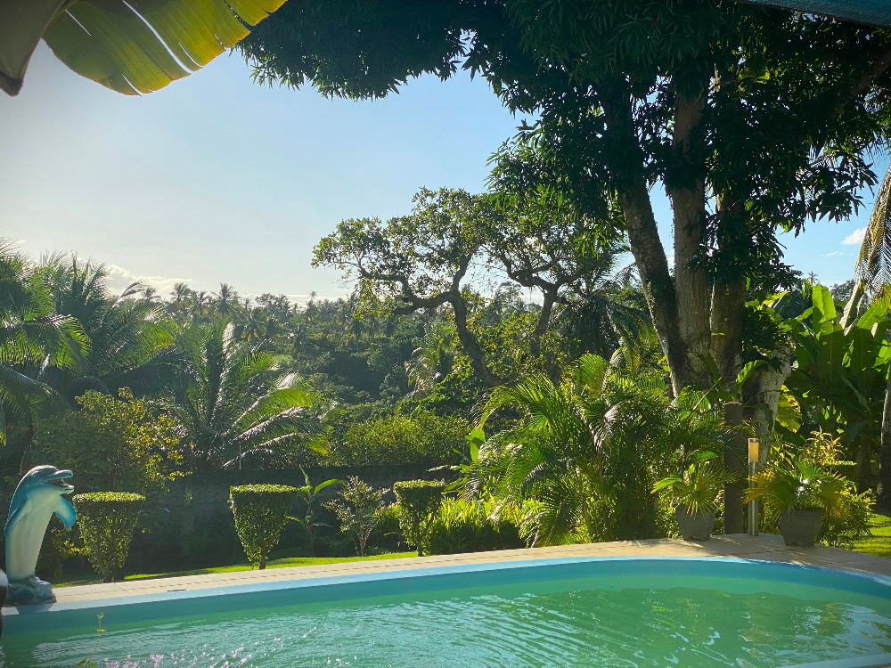 Ayahuasca Retreat | Self-Discovery Experiences in Bahia Brazil