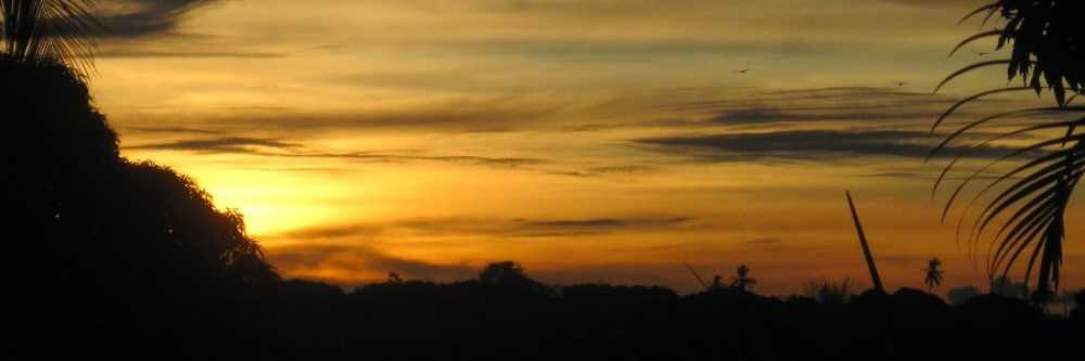 Ayahuasca Retreat | Self-Discovery Experiences in Bahia Brazil