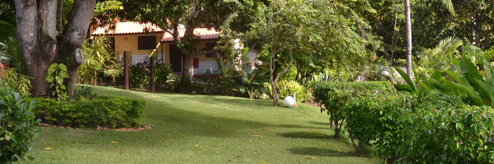 Ayahuasca Retreat | Self-Discovery Experiences in Bahia Brazil