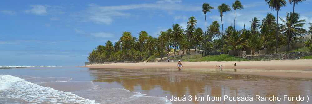 Ayahuasca Retreat | Self-Discovery Experiences in Bahia Brazil